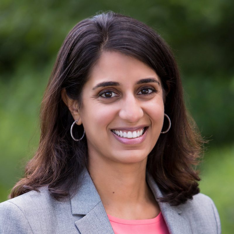 Funder Spotlight Proteus Fund The Whitman Institute