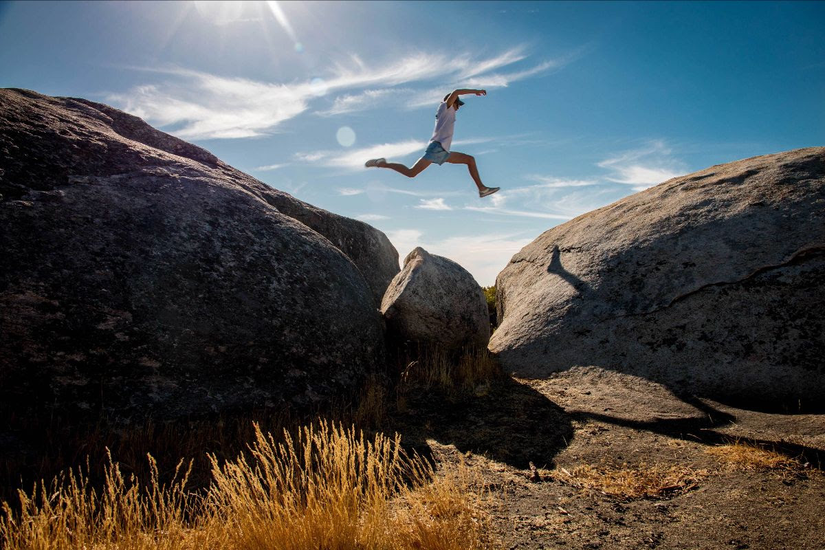 airwalk the flying leap gap